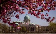 Budai Várséták - Várból Palota - Séta a Budavári Palotanegyedben, a Várkápolnában és a Királypincében