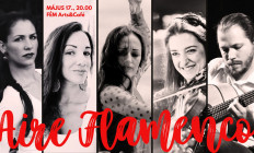 FÉM Arts & Café - Aire Flamenco