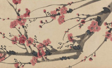 Várkert Bazár - Botanikai illusztrációk workshop - Japán cseresznyevirág