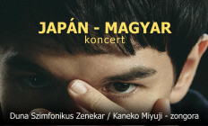 Duna Szimfonikus Zenekar - Japán - Magyar koncert, A Duna Szimfonikus Zenekar koncertje