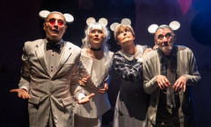 Új Színház - Minden egér szereti a sajtot