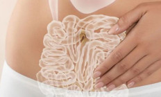 Napfényes Étterem és Rendezvényterem - Microbiom - egészségünk rejtett kulcsa