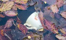 Stúdió K Színház - Elengedni nehéz