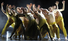 Nemzeti Táncszínház - DON QUIJOTE • Székesfehérvári Balett Színház