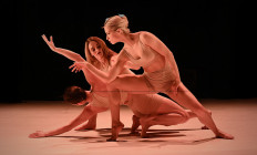 Nemzeti Táncszínház - A rózsa az rózsa az rózsa... • Kovács Gerzson Péter - TranzDanz