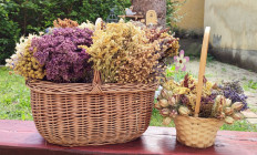 Hagyományok Háza - Szabadegyetem - Orosz Tamás: A pióca a népi gyógyászatban