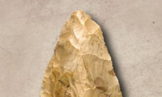 Pinceszínház - Homo sapiens grand tour