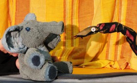 Stúdió K Színház - A kíváncsi kiselefánt