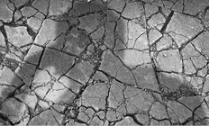 Dante színházterem - Kilépő: MAGYAROSZÁG SIVATAGGÁ VÁLIK - Cosmopolit Kiadó